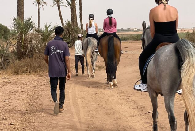 Activité cheval Palemerie